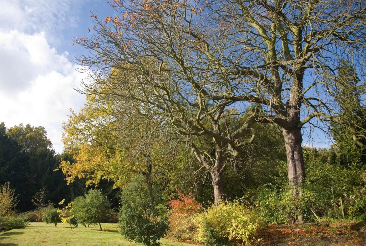 Office Space in Chislehurst