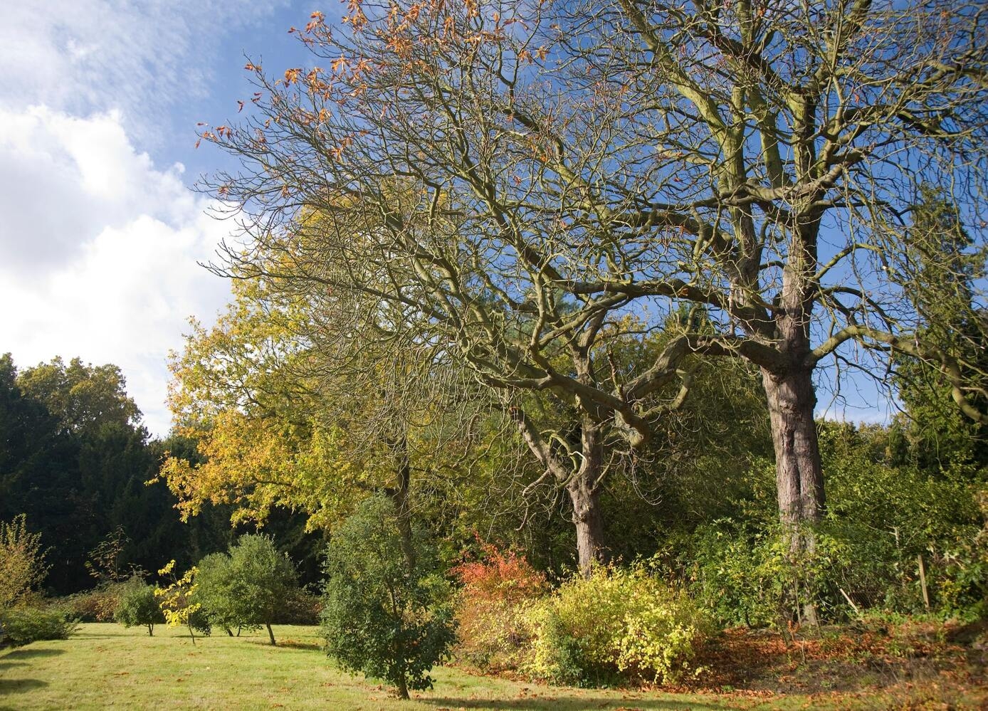 Office Space in Chislehurst