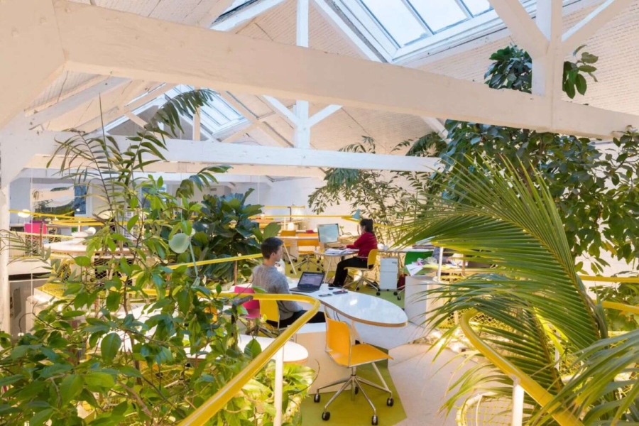 Innovative offices at Holland Park