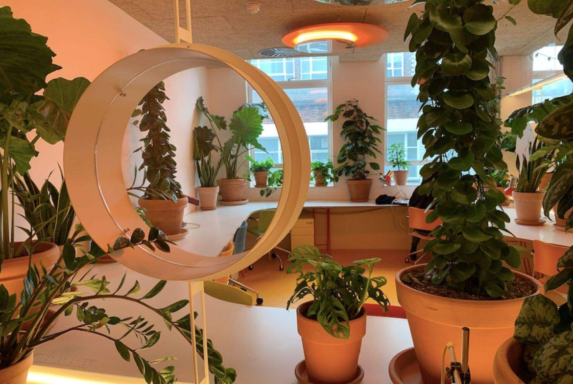 Fully serviced offices on Mare Street