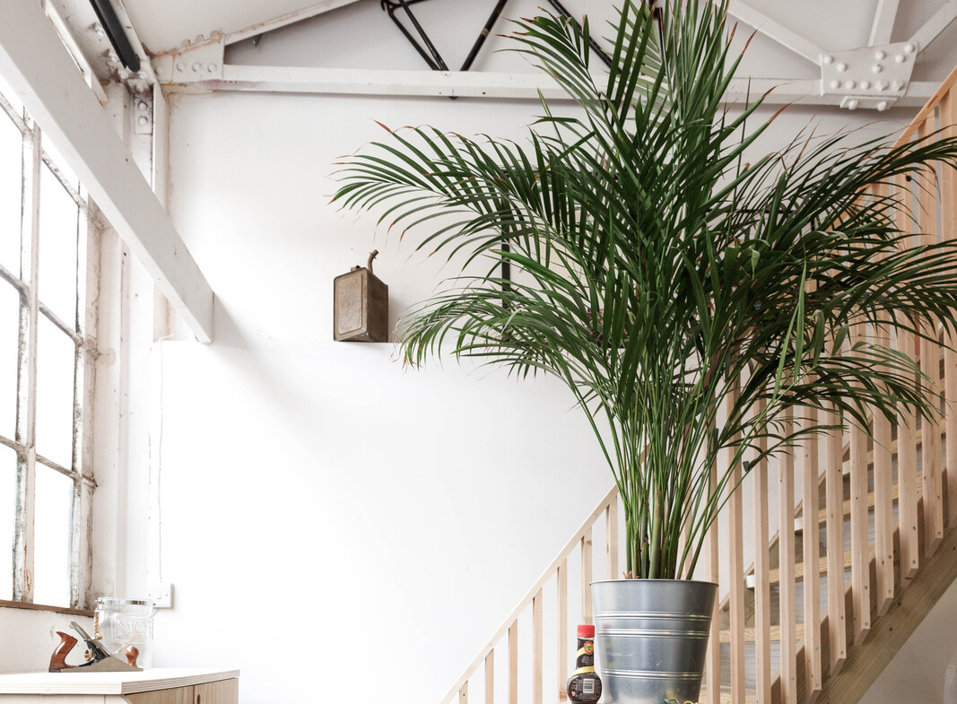 Office studios in Walthamstow